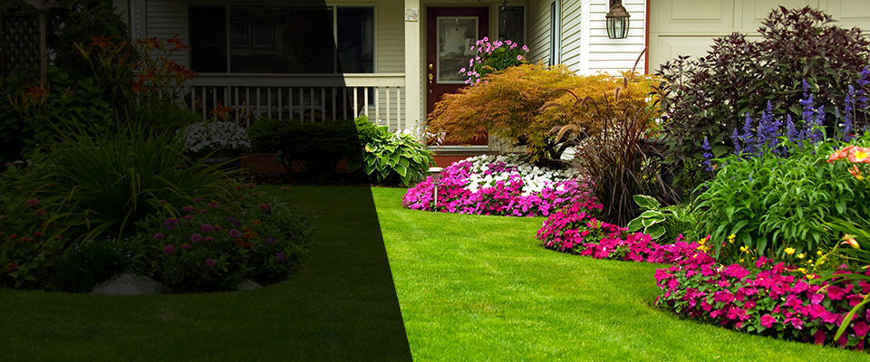 Bowie Landscapers