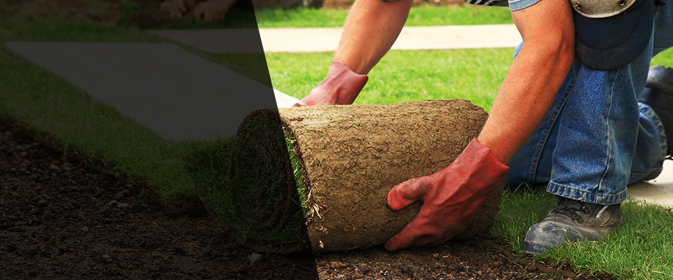 Bowie Landscapers